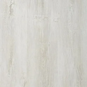 fischer-411