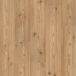 isofam-2223