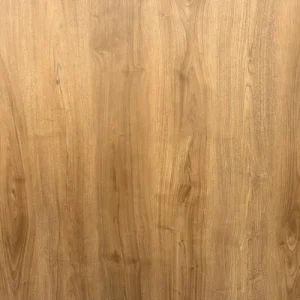 AYAZ-6001